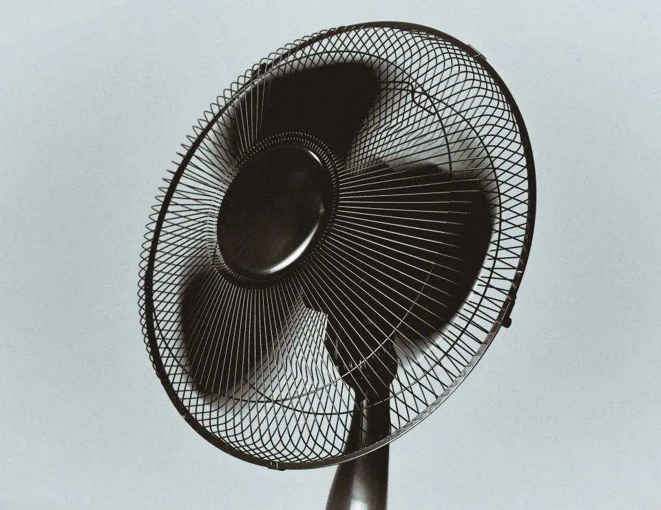Black Fan