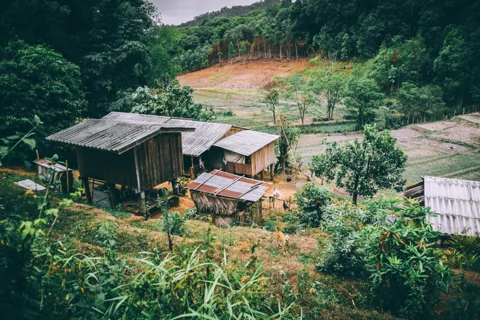 Roof Houses