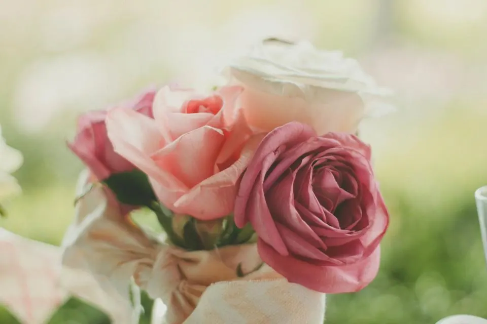 Roses Flowers