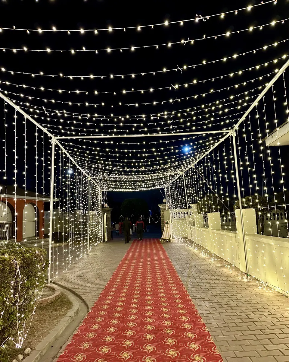 Strings of lights hanging up the sky lighting the red carpet pathway at some wedding reception entrance!